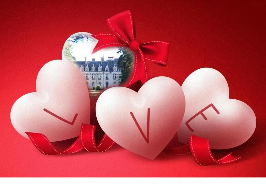 Charmant Studio Au Calme Tout Confort Dans Chateau Neo Gothique Proche Zenith Comet Orleans Parking Voiture Gratuit Wifi Haut Debit Rue Des Montees Esterno foto