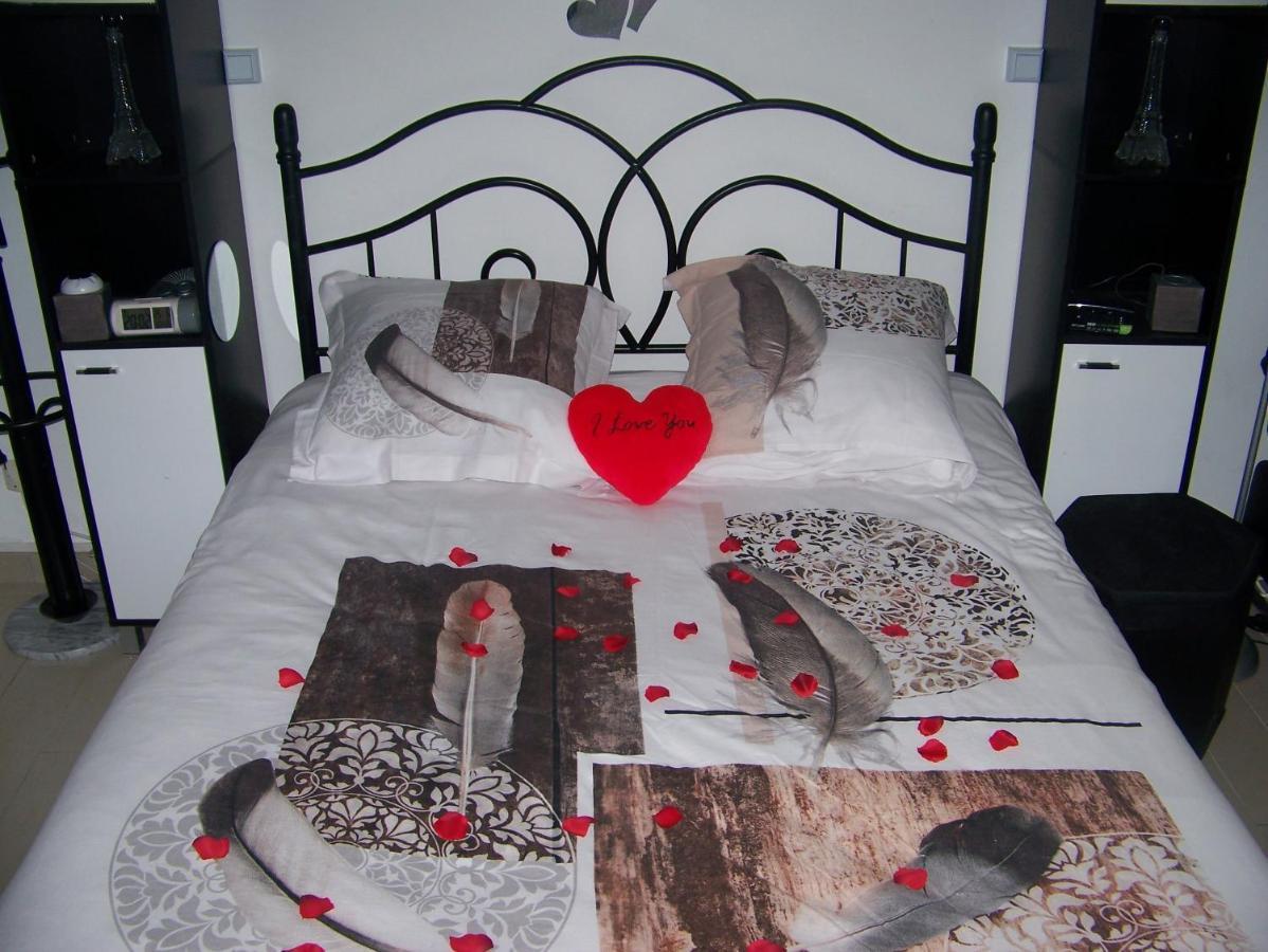 Charmant Studio Au Calme Tout Confort Dans Chateau Neo Gothique Proche Zenith Comet Orleans Parking Voiture Gratuit Wifi Haut Debit Rue Des Montees Esterno foto